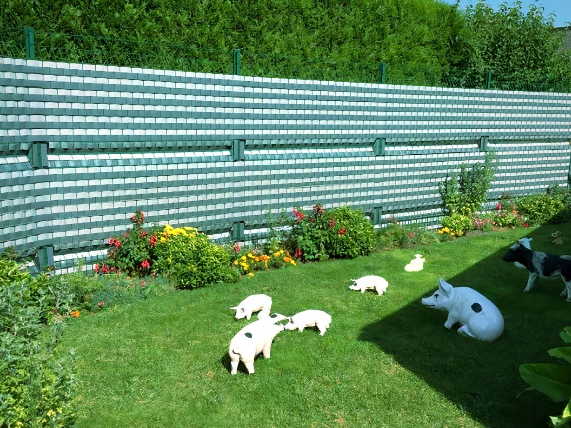 lamelles occultation